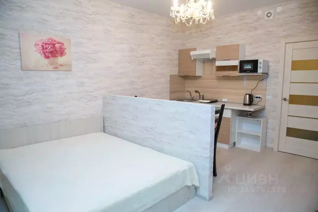 Студия Санкт-Петербург ул. Плесецкая, 10 (26.0 м) - Фото 0