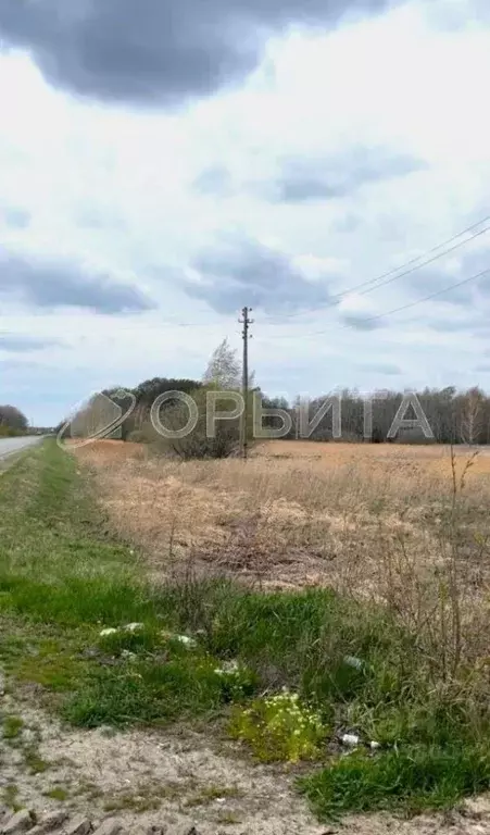 Участок в Свердловская область, Слободо-Туринский район, ... - Фото 0