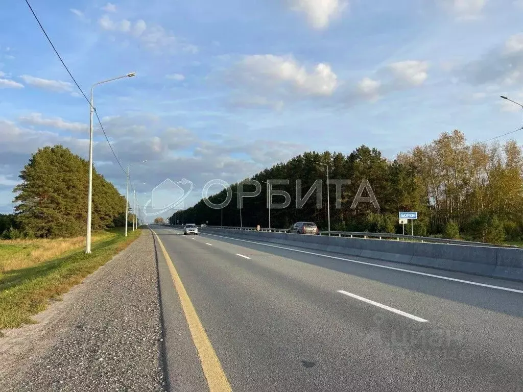 Участок в Тюменская область, Тюменский район, с. Борки ул. Шешукова ... - Фото 1