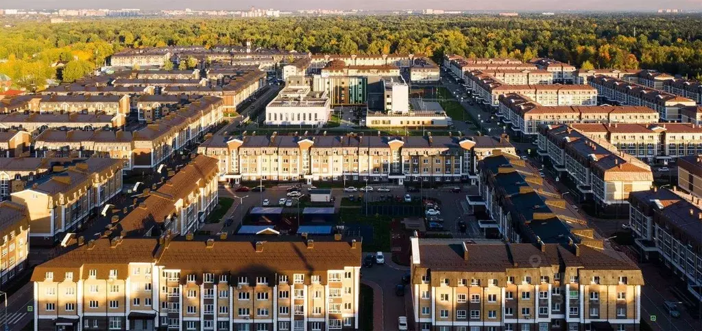 Студия Московская область, Королев Болшево мкр, Полевая ул., 9 (24.6 ... - Фото 1