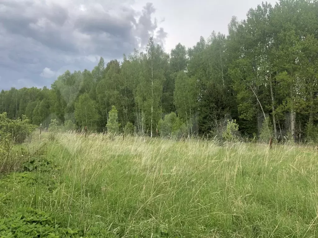 Участок в Калужская область, Медынский район, д. Жихарево (15.0 сот.),  Купить земельный участок Жихарево, Медынский район, ID объекта - 20002723989