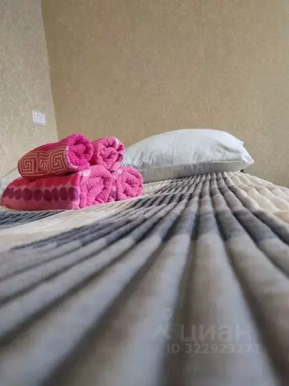 2-к кв. Башкортостан, Благовещенск ул. Комарова, 11/1 (48.0 м) - Фото 1