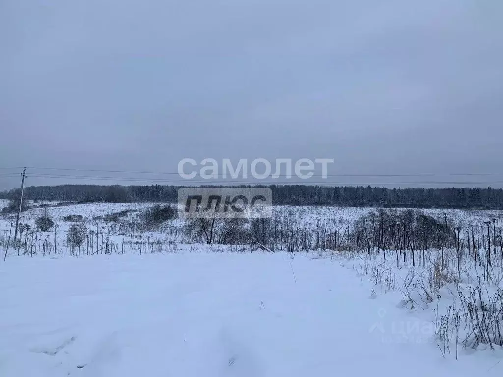 Участок в Ленинградская область, Тосненское городское поселение, д. ... - Фото 1