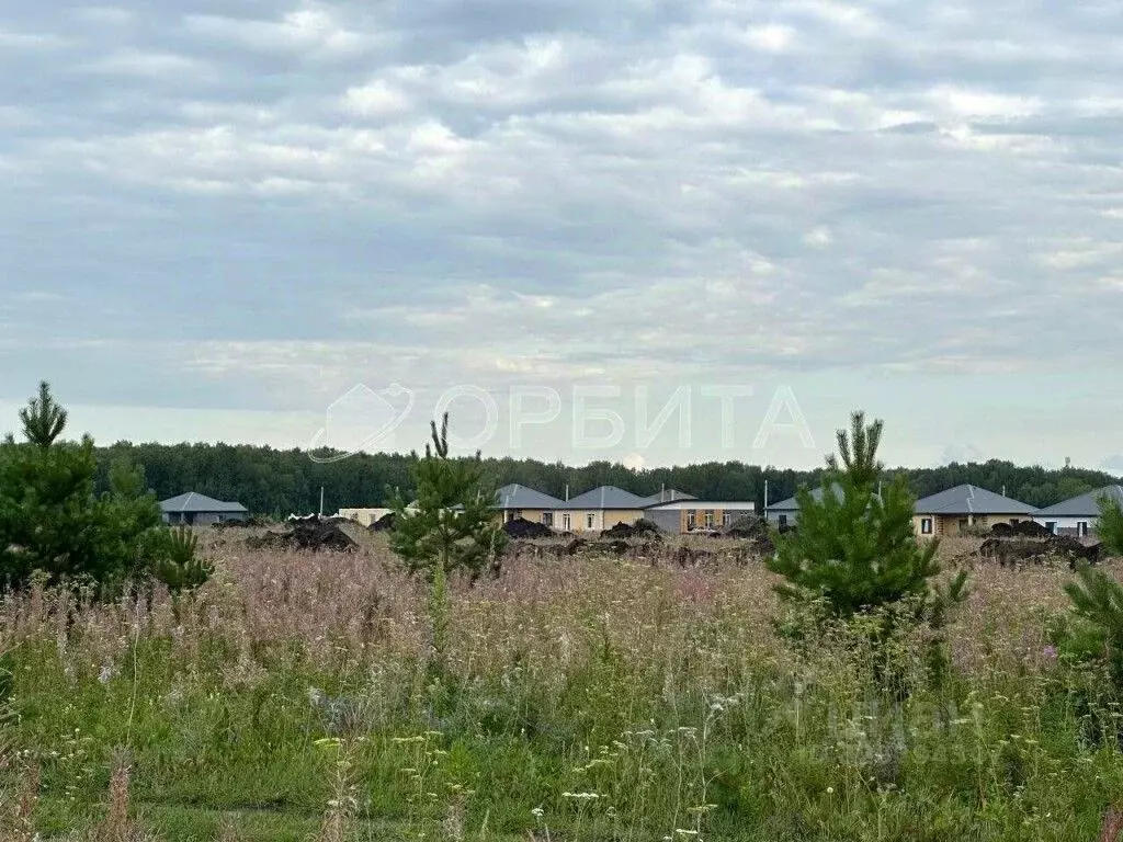 Участок в Тюменская область, Тюменский район, д. Елань, Австралия кп  ... - Фото 0