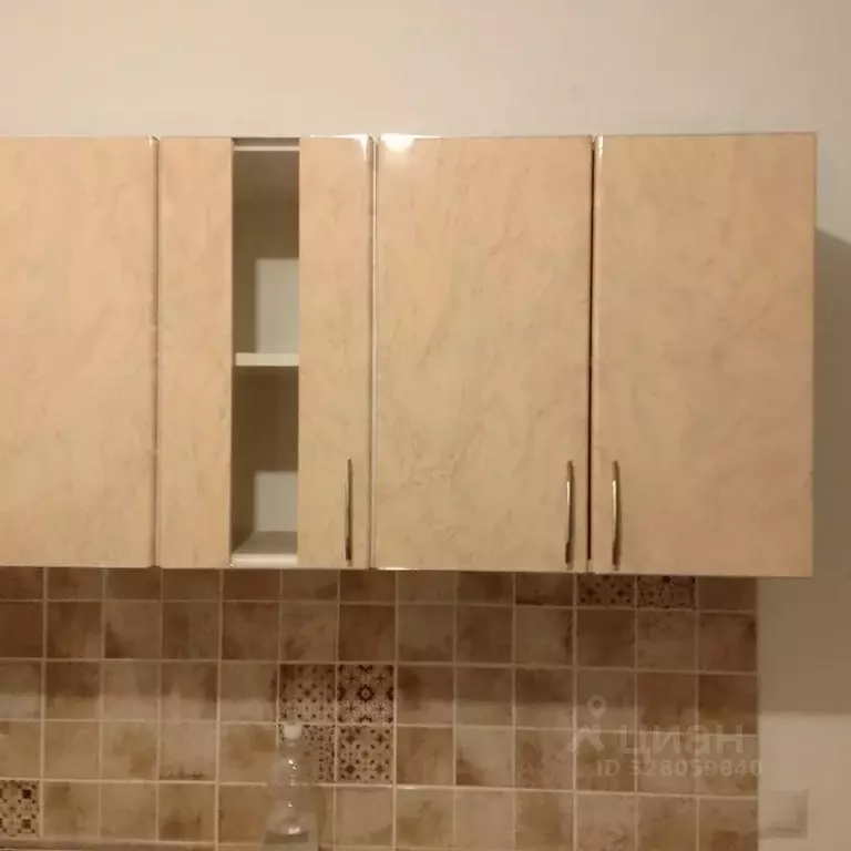 Студия Амурская область, Благовещенский район, с. Чигири ул. ... - Фото 2