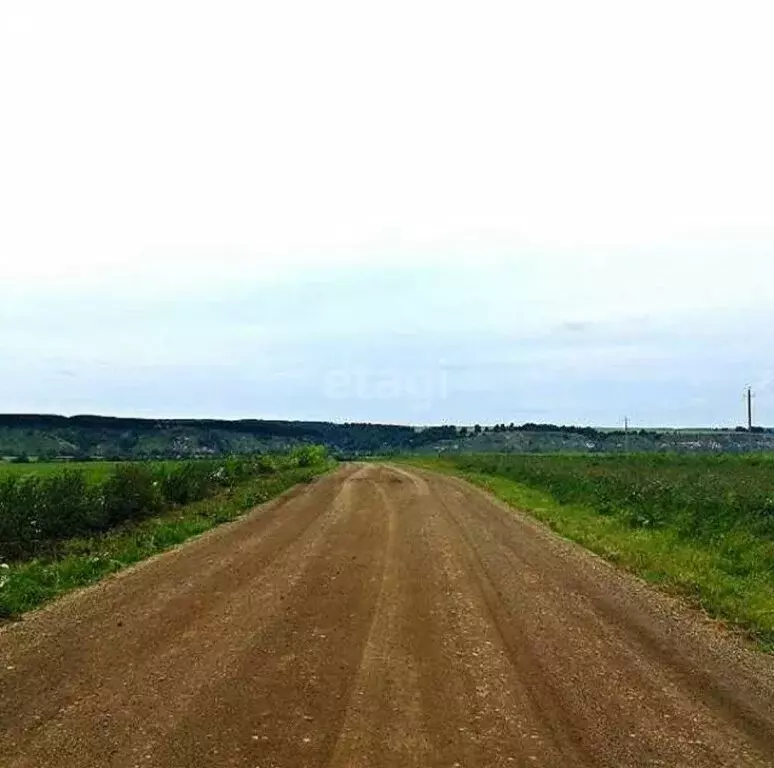 Участок в Пермский край, Кунгурский муниципальный округ, село Кыласово ... - Фото 1