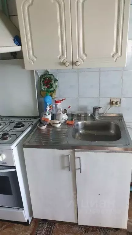 Дом в Брянская область, Новозыбковский городской округ, с. Старые ... - Фото 2