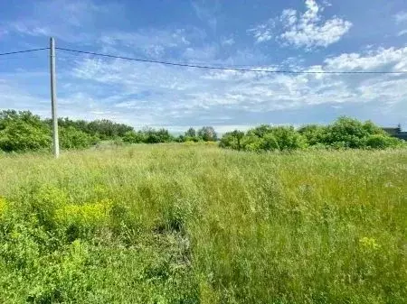 Участок в Омская область, Любинский район, с. Любино-Малороссы ул. ... - Фото 1