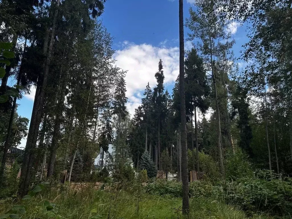 Участок в Московская область, Одинцовский городской округ, д. Бородки, ... - Фото 2