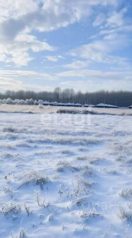 Участок в Тульская область, Дубенский район, Протасовское с/пос, с. ... - Фото 2
