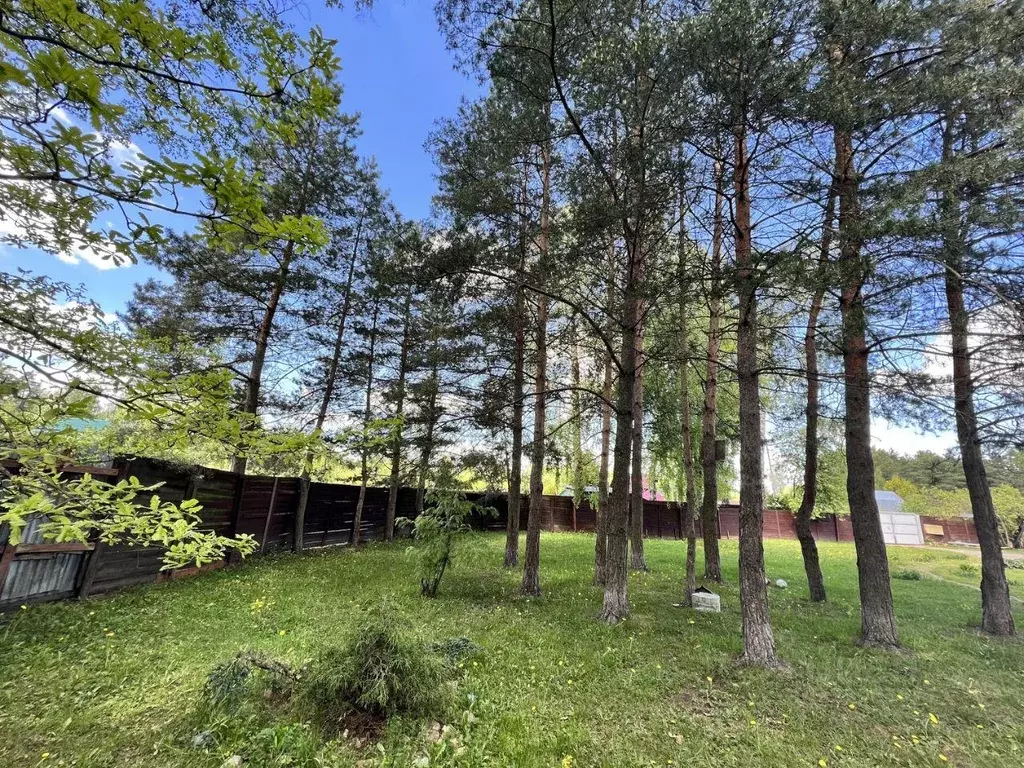 Участок, 6 сот., сельхоз (снт или днп) - Фото 2