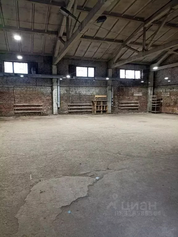 Помещение свободного назначения в Новосибирская область, Новосибирск ... - Фото 0