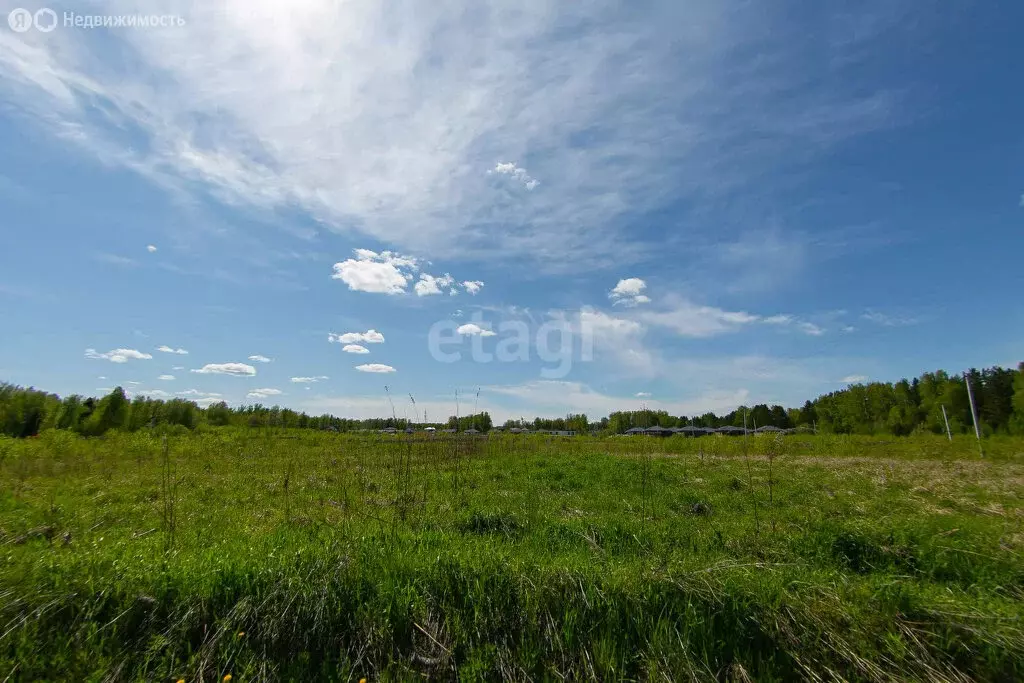 Участок в Томский район, ДНП Слобода Вольная (7.09 м) - Фото 0