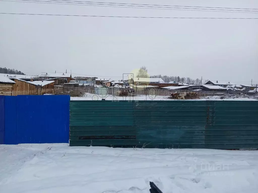 Участок в Иркутская область, Эхирит-Булагатский район, Кулункунское ... - Фото 2