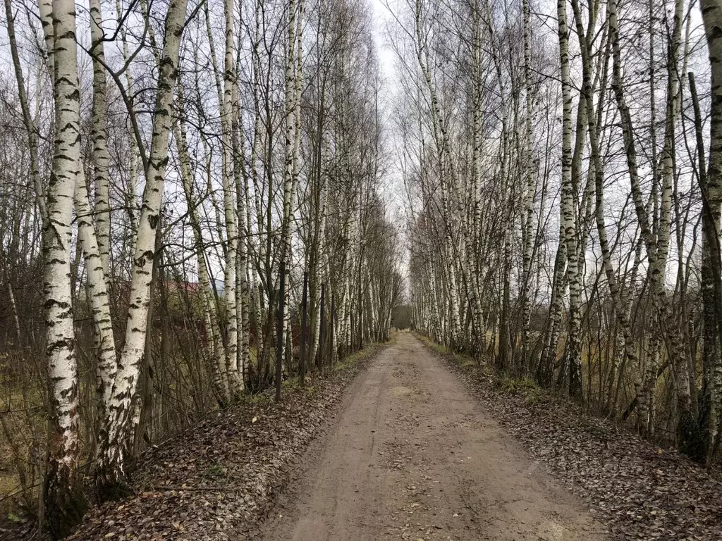 Участок в Тульская область, Заокский район, Страховское с/пос, д. ... - Фото 1