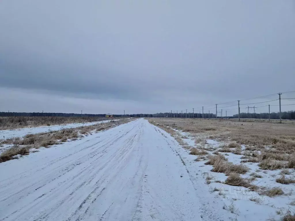 Участок в Тюменская область, Тюменский район, с. Каменка, Завидово кп  ... - Фото 0