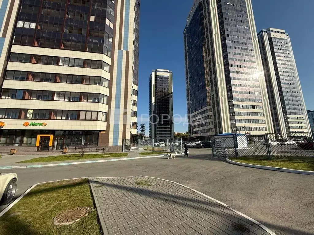 Помещение свободного назначения в Новосибирская область, Новосибирск ... - Фото 2