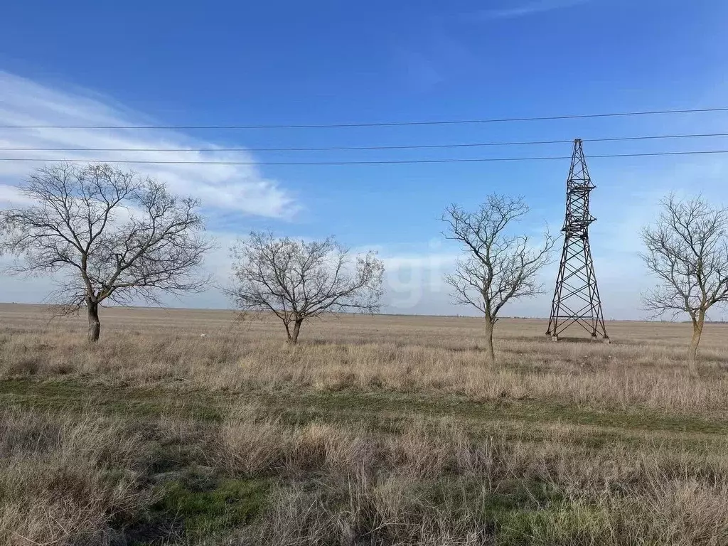 Участок в Крым, Сакский район, с. Молочное  (198.92 сот.) - Фото 1