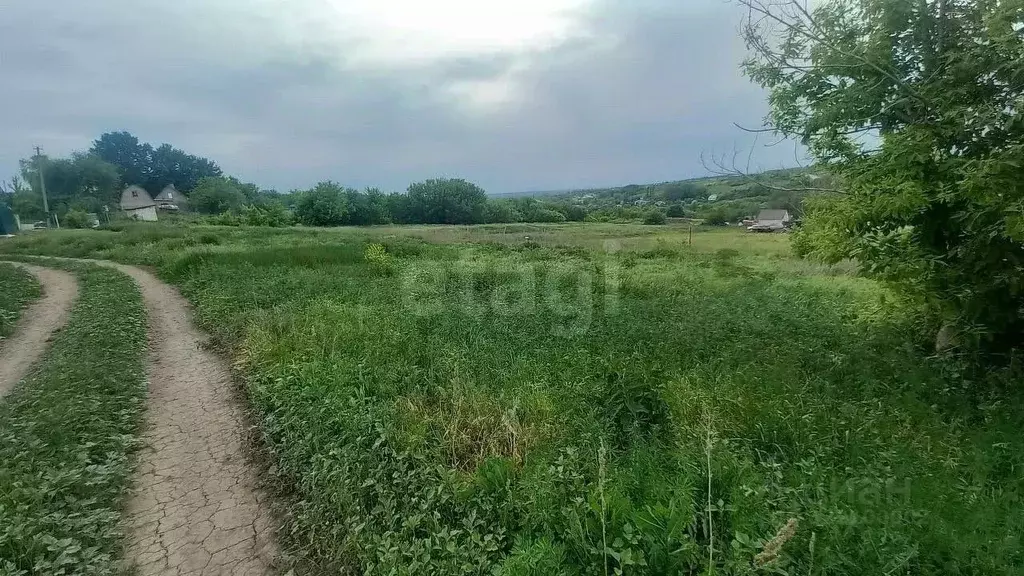 Участок в Воронежская область, Семилукское с/пос, с. Ендовище  (5.0 ... - Фото 1