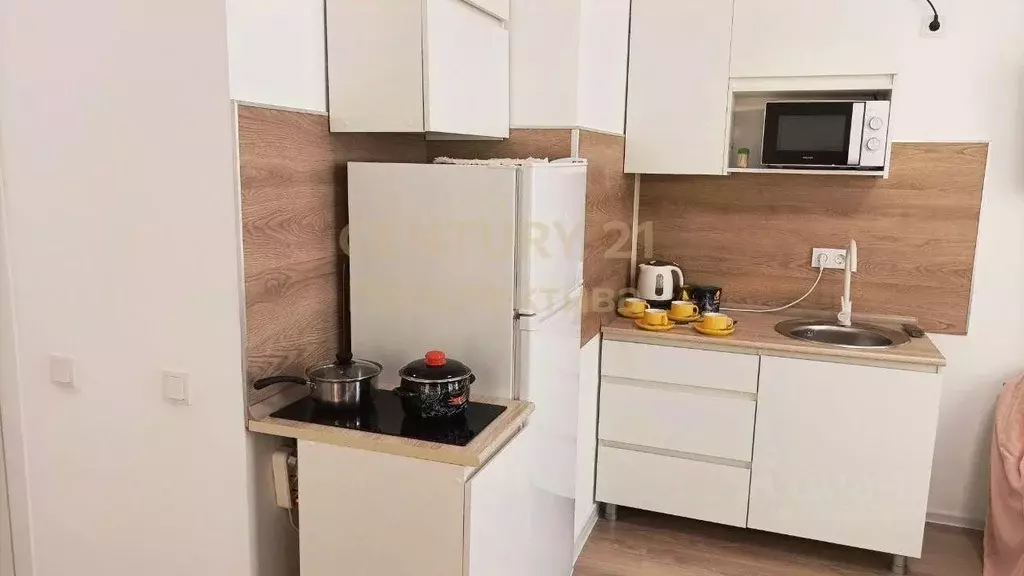 Студия Московская область, Домодедово городской округ, с. Ям ул. ... - Фото 2