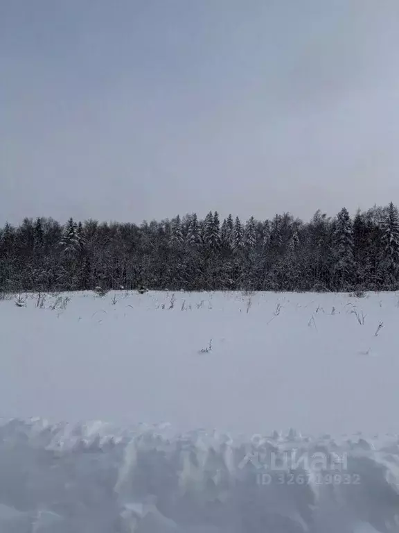 Участок в Московская область, Дмитровский муниципальный округ  (1.0 ... - Фото 1