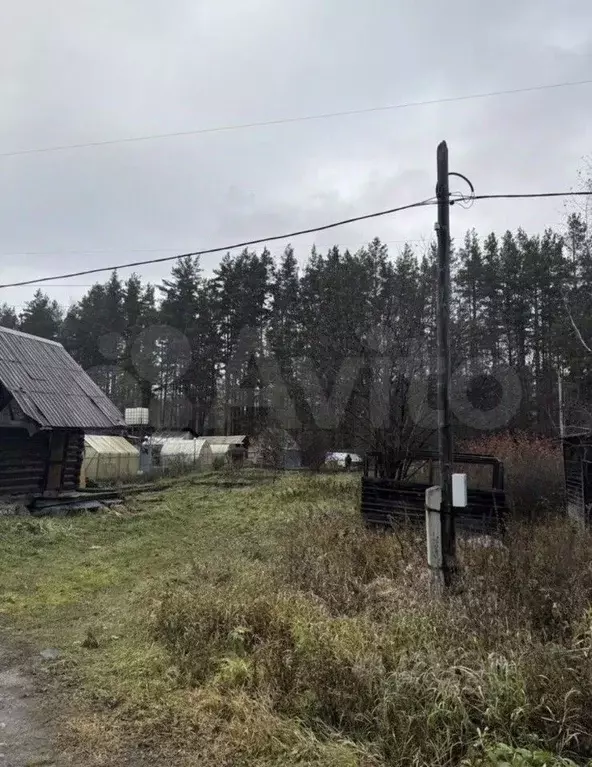 Участок в Свердловская область, Екатеринбург Янтарь СНТ, 2 (6.2 сот.) - Фото 2