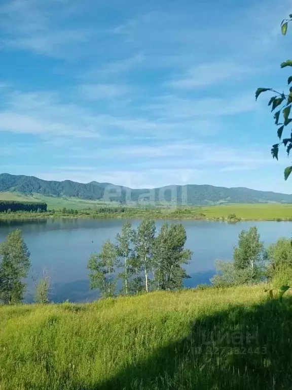 Участок в Алтайский край, Алтайский район, с. Алтайское  (20.0 сот.) - Фото 1