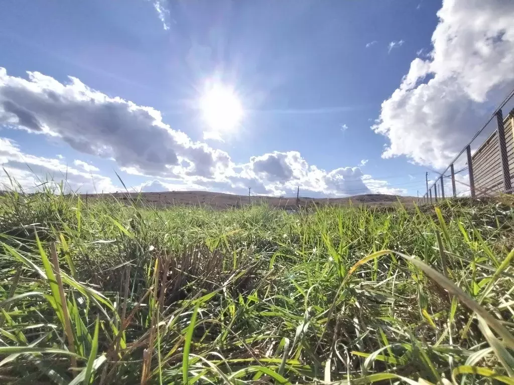 Участок в Крым, Ленинский район, Глазовское с/пос, с. Юркино ул. ... - Фото 0