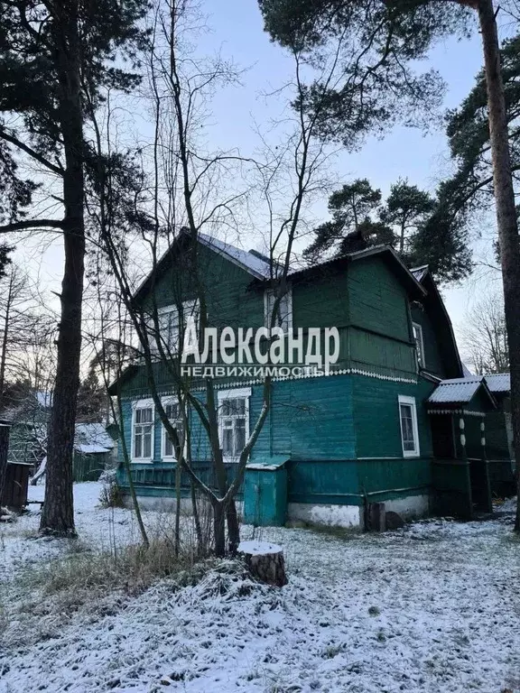 Участок в Санкт-Петербург Ольгино тер., ул. Садовая, 2 (6.75 сот.) - Фото 2