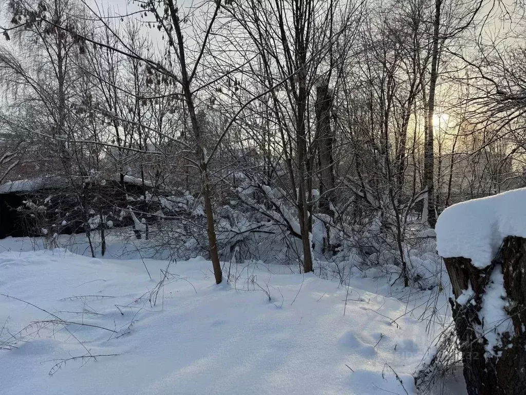 Участок в Московская область, Ногинск Богородский городской округ, ул. ... - Фото 2
