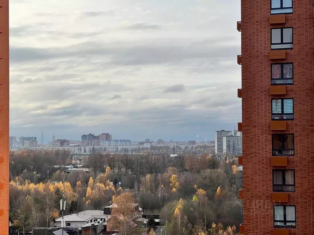 Студия Ленинградская область, Всеволожский район, д. Новое Девяткино ... - Фото 1