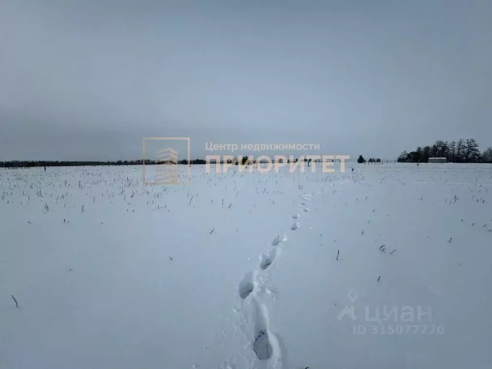Участок в Саха (Якутия), Якутск городской округ, с. Тулагино  (12.0 ... - Фото 1