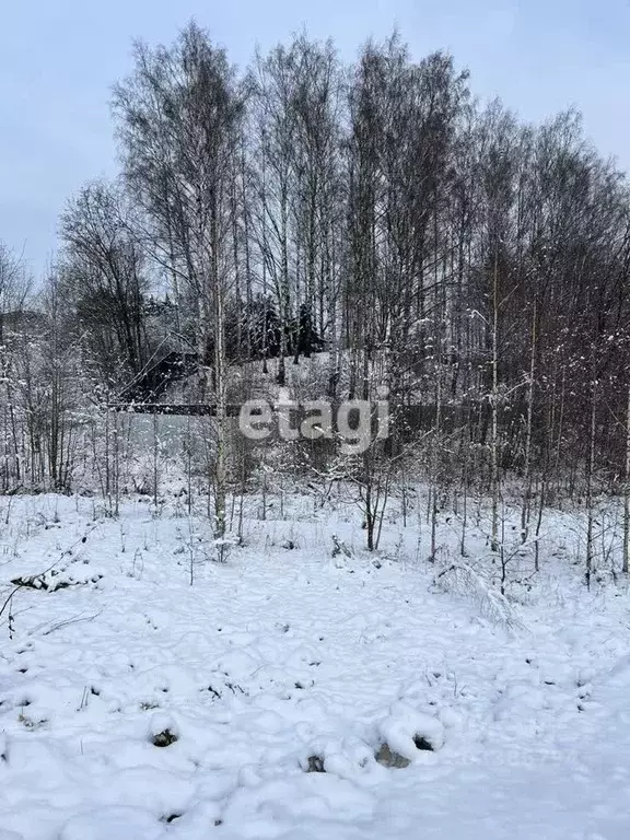 Участок в Ленинградская область, Всеволожский район, Колтушское ... - Фото 1