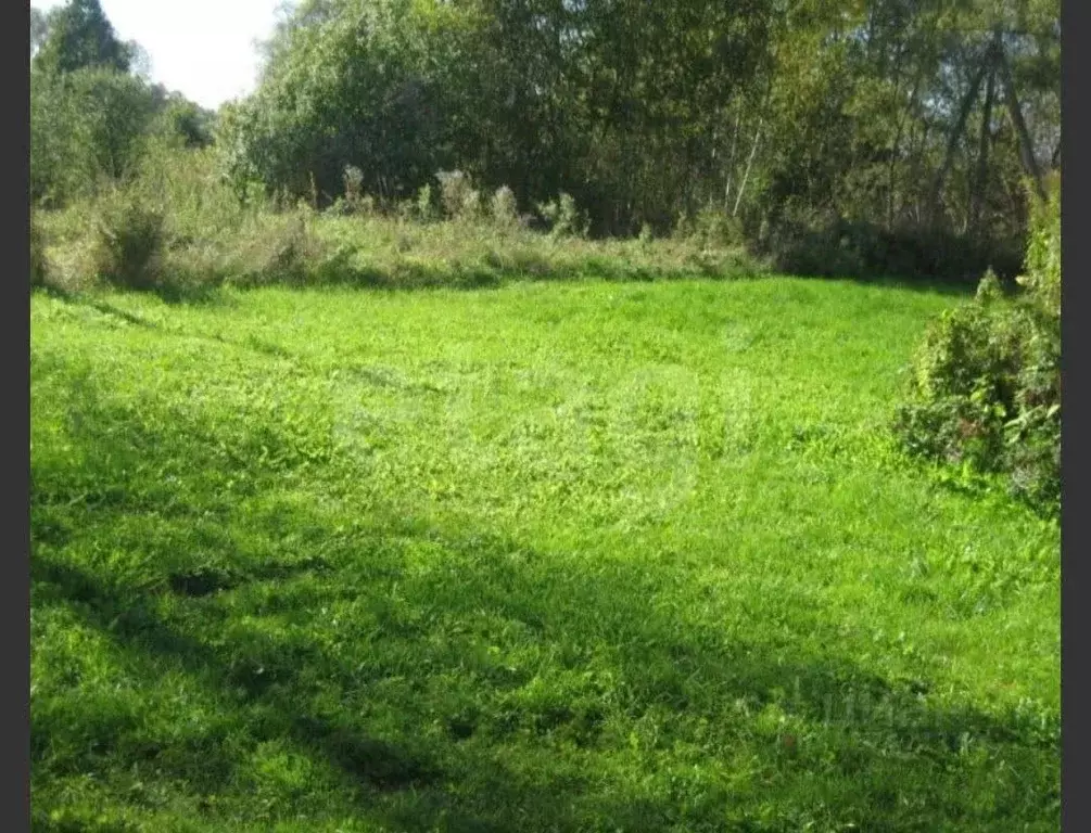 Участок в Ярославская область, Ярославский муниципальный округ, д. ... - Фото 1