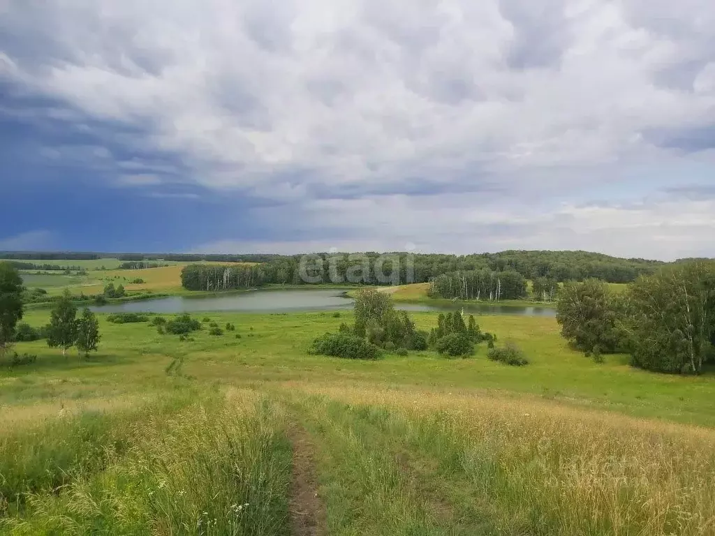 Участок в Новосибирская область, Каргатский район, пос. Петровский  ... - Фото 1