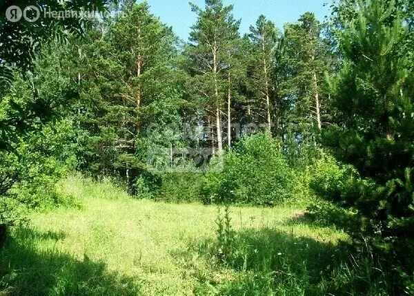 Участок в Кабанский район, посёлок Речка Выдрино (10 м) - Фото 2