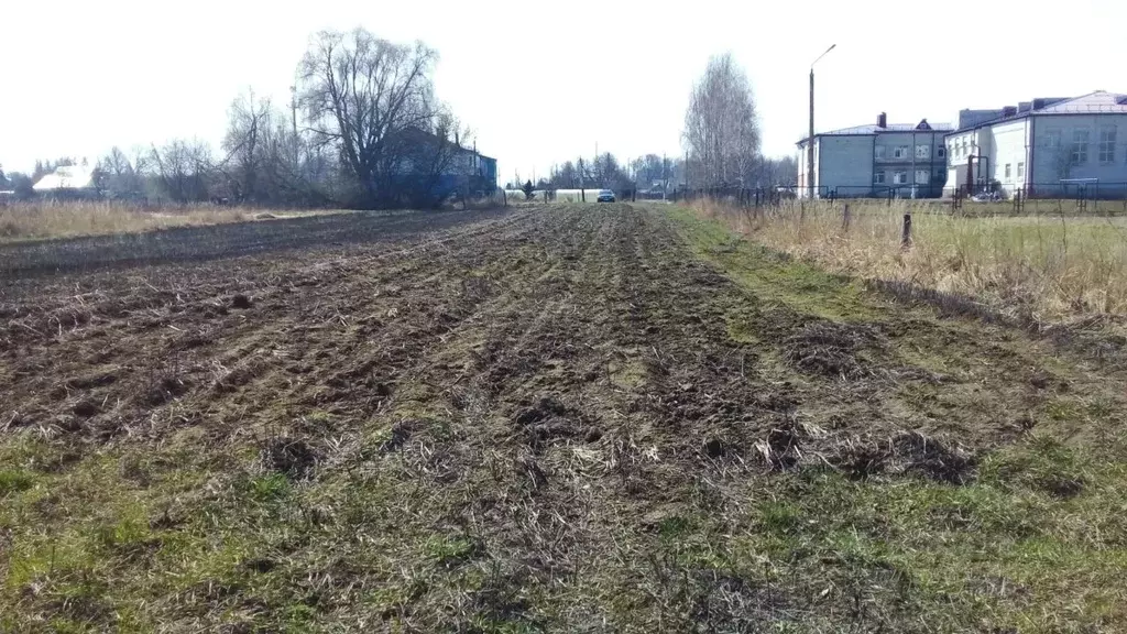 Участок в Брянская область, Выгоничское городское поселение, с. Лопушь ... - Фото 2
