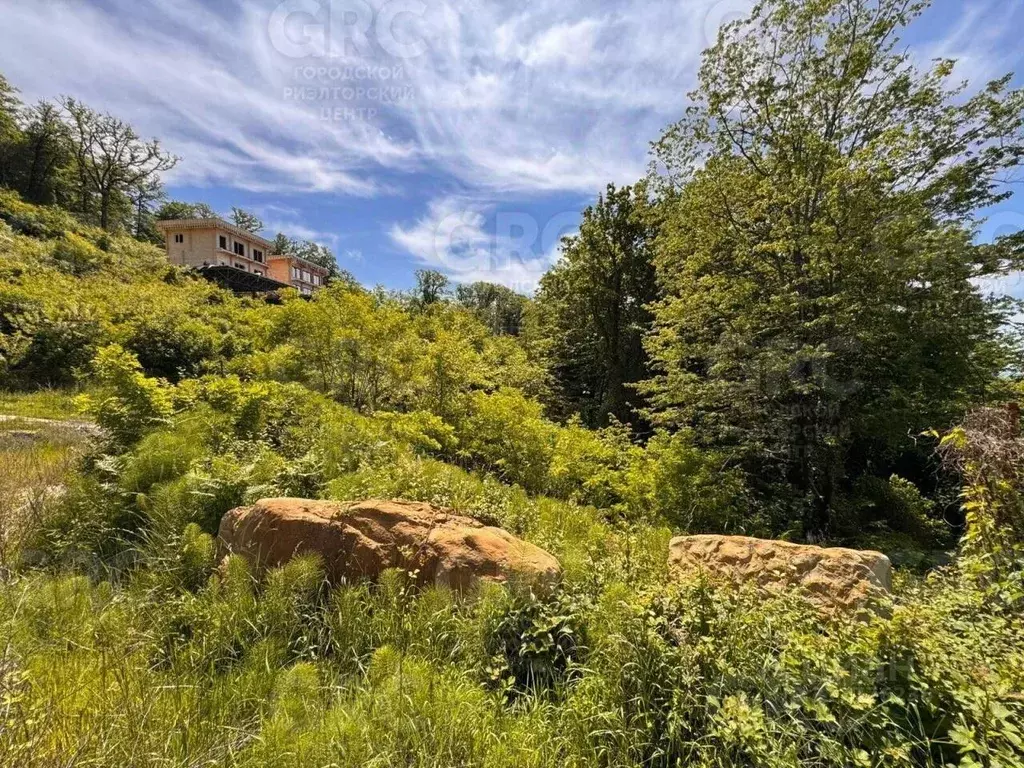 Участок в Краснодарский край, Сочи Звездная ул., 124 (4.3 сот.) - Фото 2