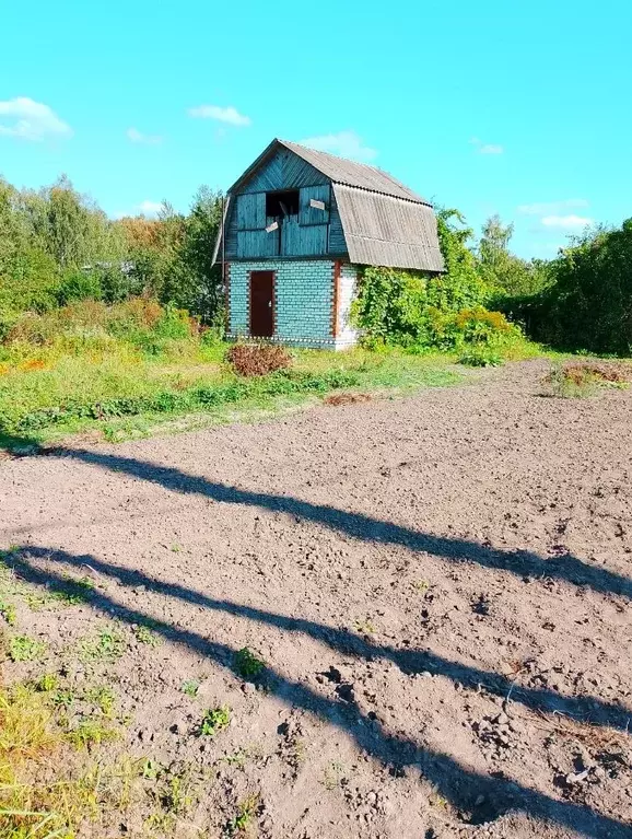 Дом в Брянская область, Брянский район, Снежское с/пос, с. Толмачево, ... - Фото 1