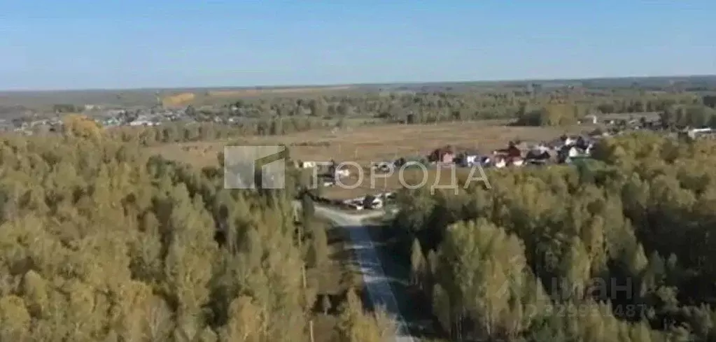 Участок в Новосибирская область, Новосибирский район, Кубовинский ... - Фото 1