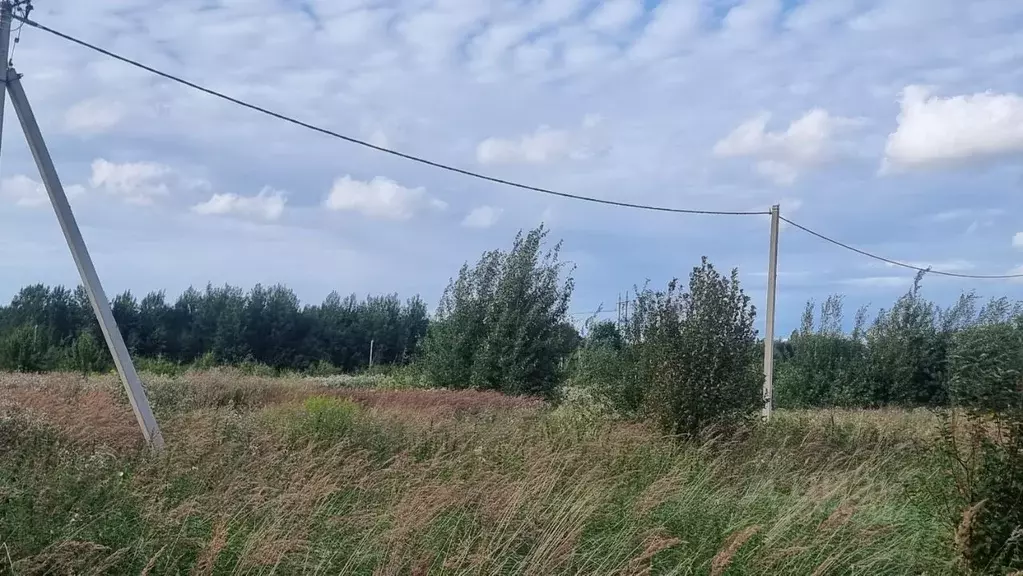 Участок в Калининградская область, Гурьевский муниципальный округ, ... - Фото 1