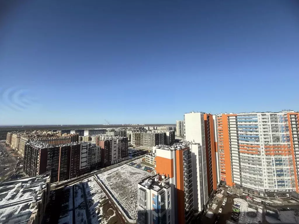Студия Санкт-Петербург ул. Плесецкая, 10 (24.2 м) - Фото 1