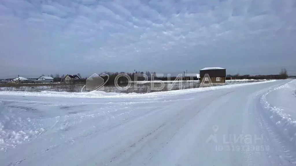 Участок в Тюменская область, Тюменский район, с. Борки  (7.0 сот.) - Фото 0