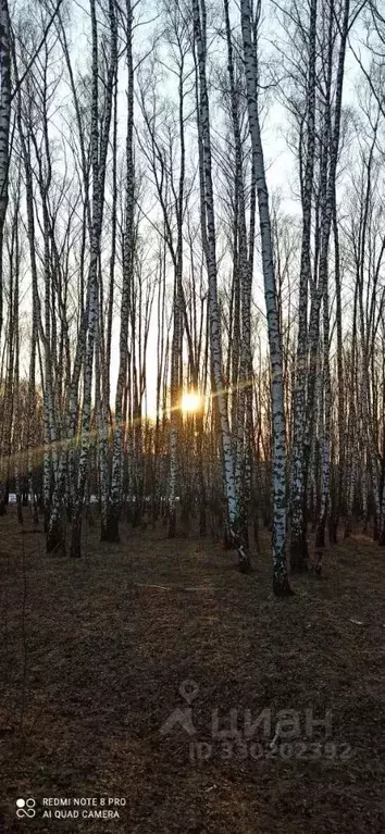 Участок в Тульская область, Алексин городской округ, с. Солопенки  ... - Фото 1