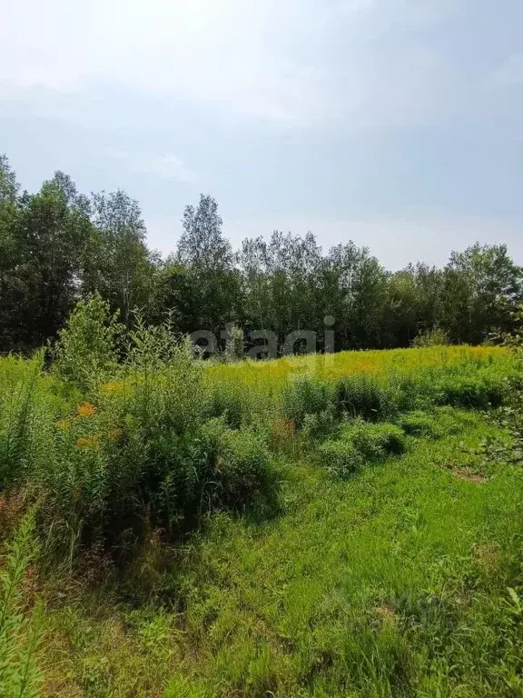 Участок в Хабаровский край, Хабаровск  (8.0 сот.) - Фото 0