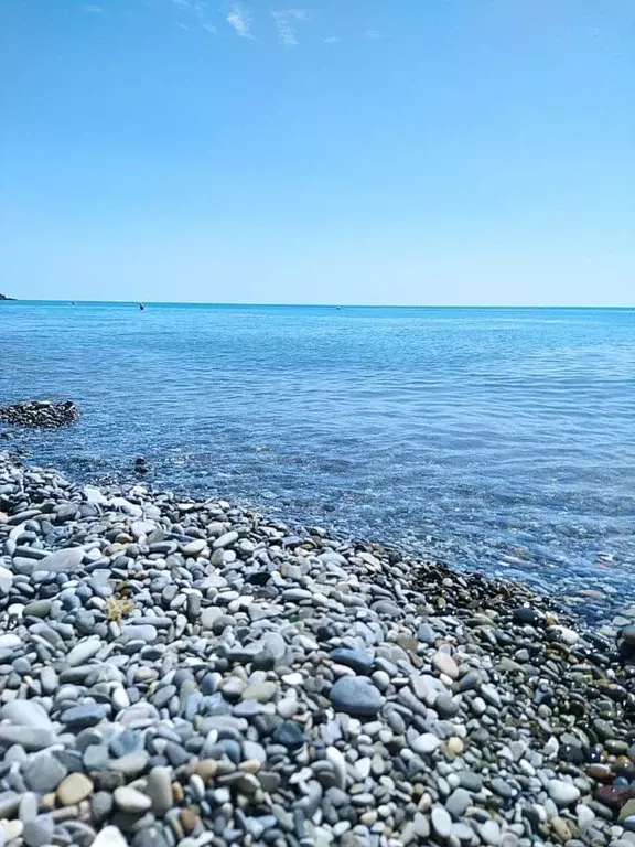 Помещение свободного назначения в Краснодарский край, Туапсинский ... - Фото 1