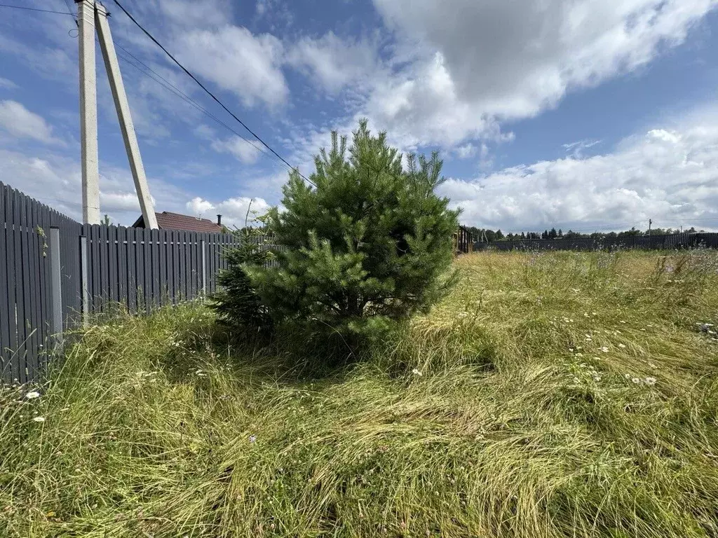Участок в Московская область, Солнечногорск городской округ, Семейный ... - Фото 2