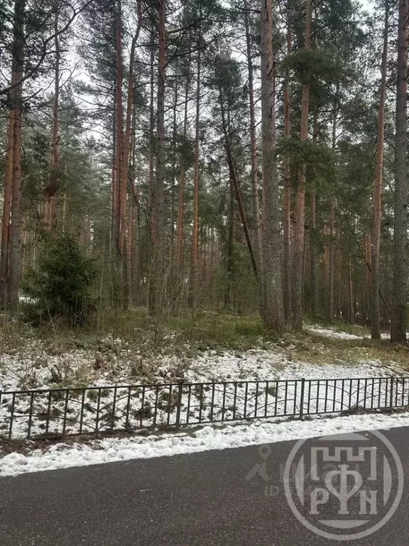 Участок в Санкт-Петербург пос. Солнечное, ул. Петровская (43.15 сот.) - Фото 1