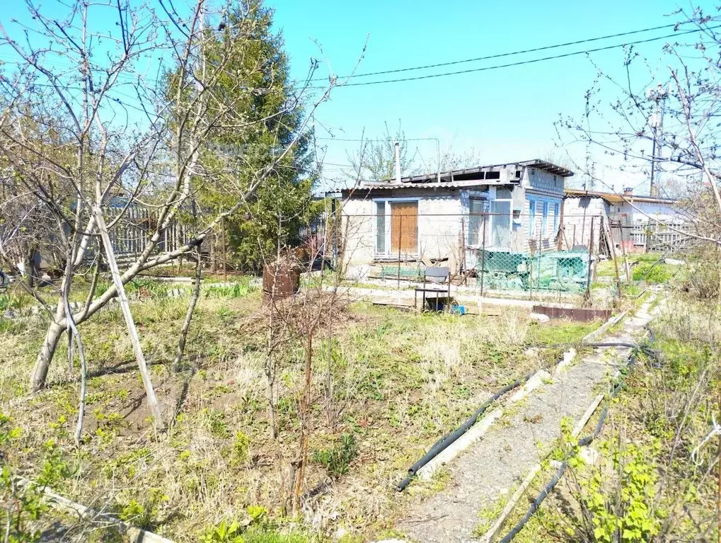 Снт Химик Волжский Купить Дачу