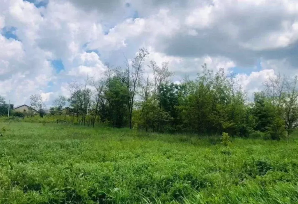 Участок в Ставропольский край, Шпаковский муниципальный округ, с. ... - Фото 1